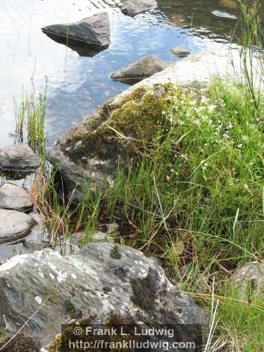 Lough Achree, Heart Lake